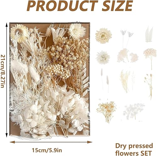 Fleurs Séchées, Fleurs Sechees Naturelles Fleurs Sechees pour Le Bricolage Fleur Sechee pour Scrapbooking Bougie Bricolage Résine Époxy Floral Fabrication Artisanale(Blanc) - Nail Gallerys