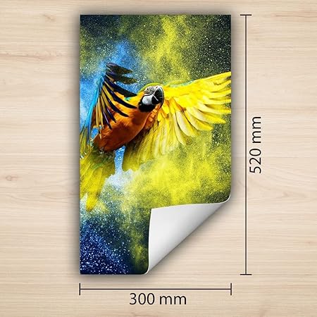 Cache-plaque de cuisson enroulable - En plastique - Pour plaque à induction - Motif perroquet - Multicolore - 60 x 52 cm - Nail Gallerys