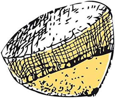 12 Filets presse-citron - Nail Gallerys