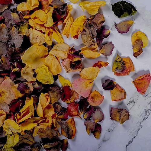 25 Petale Petales de Rose a Jeter Mariage,De Fleur Sechees Mariage,Petale de Rose,Pétale de rose Rouge,Pétale de Rose,Fleurs Séchées,Decoration de Table Mariage,Deco Mariage,Confettis Mariage (25) - Nail Gallerys