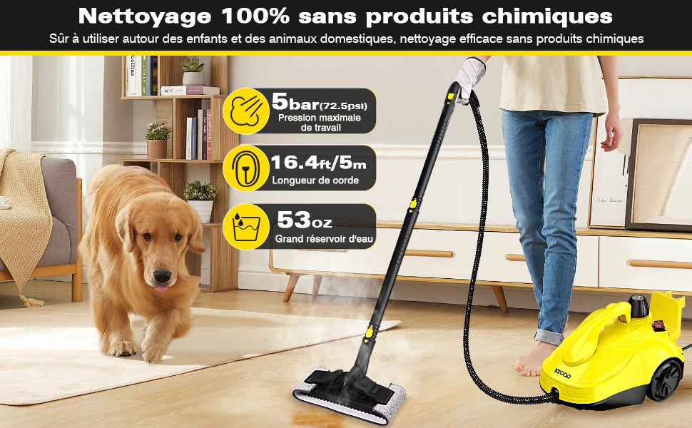 nettoyeur vapeur，nettoyeur vapeur sol，nettoyeur vapeur pour canapé