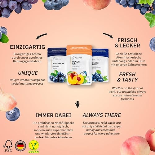 Wunder Cure-Dents avec Saveur – Set de 3 Boîtes - 100 Cure-Dents par Boîte - 3 Saveurs Uniques - Parfait pour l’Haleine Fraîche et le Soin Oral - Nail Gallerys