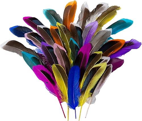 SURALIN 80 Pièces Plumes Colorées Plumes Artisanat Coloré Plumes Plume Artisanat pour Bricolage Boucle D'oreille Mariage Attrape-rêves Coiffure Plumes - Nail Gallerys