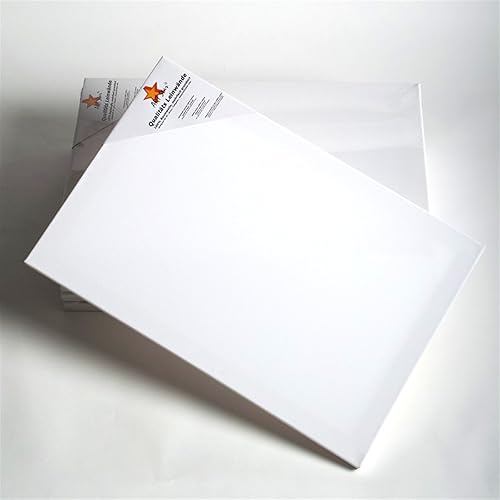 Art-Star 10x Chassis ENTOILÉ UNIVERSITÉ 24x30 cm | Toiles sur châssis 24x30 cm | Toile préimprégnée, prêts à Peindre, châssis avec Toile - Nail Gallerys