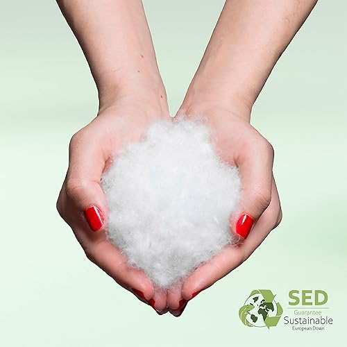 Nordic Paradise - Couette en Duvet Deluxe - 200x220 cm - Été - légère - 90% Duvet de Canard Blanc Français - Enveloppe Coton Anti-Acariens - Nail Gallerys