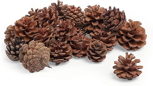 Pommes de pin VBS, env. 4 cm, 250 g - Nail Gallerys