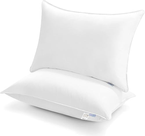 WAVVE Oreiller 50x75cm Lot de 2 avec Enveloppe 100% Coton Anti Acarien, Oreiller Ferme Moelleux Garnissage Fibres Elastiques 1050g/pièce, Coussin Rectangulaire Hotel, OEKOTEX-100 Certifié 50x75 - Nail Gallerys