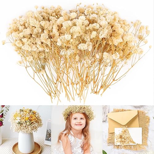 Gypsophile séchée, 15 cm, fleurs séchées, gypsophile, fleurs séchées pour bricolage, décoration de mariage, bouquets de mariée, décoration d'intérieur, accessoires de cheveux - Nail Gallerys