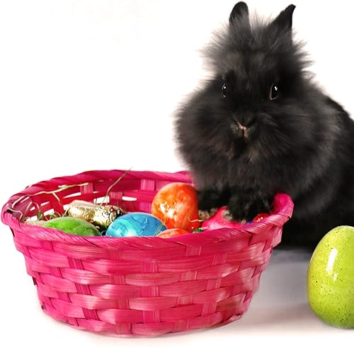 COM-FOUR® Décoration de Pâques et coffret cadeau - Paniers colorés en raphia, herbe de Pâques verte, couleurs d'œufs - Panier de Pâques DIY - Set de bricolage de Pâques (Ensemble 3 - coloré) - Nail Gallerys