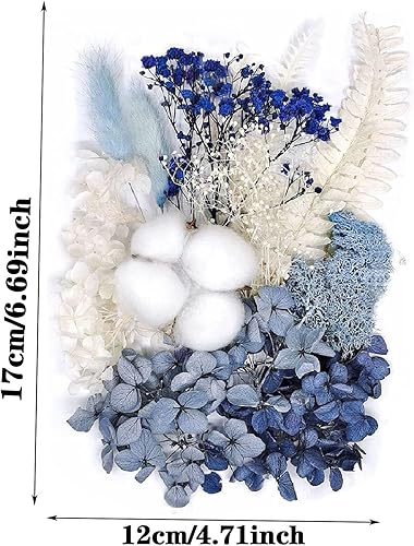 Ensembles de Fleurs Séchées Naturelles Fleurs Naturelles Mélangées Fleurs Séchées pour Bricolage Fleurs Pressées pour Bricolage Résine, Scrapbooking - Nail Gallerys