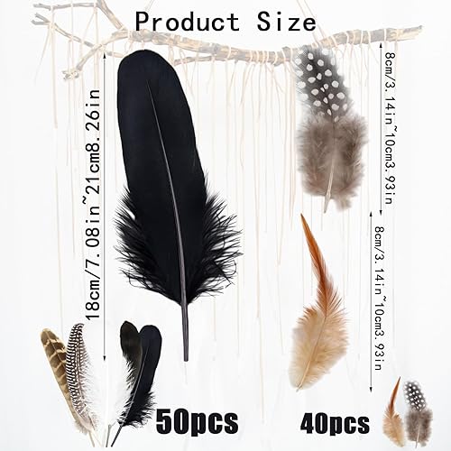 RobLuX 90 Pièces Plumes Faisan Naturelles Plume Decoration 7 Styles de Plumes Artisanales pour L'artisanat Les Fêtes Les Masques Le Carnaval Les Décorations d'halloween - Nail Gallerys