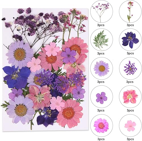 Fleurs Séchées Pressées Naturelles en Résine, Moules Créatifs Inclus pour Bijoux, Scrapbooking, Bougies, Savons, Décoration D'ongles, Idéal Loisirs DIY, Cadeaux Artistiques - Nail Gallerys