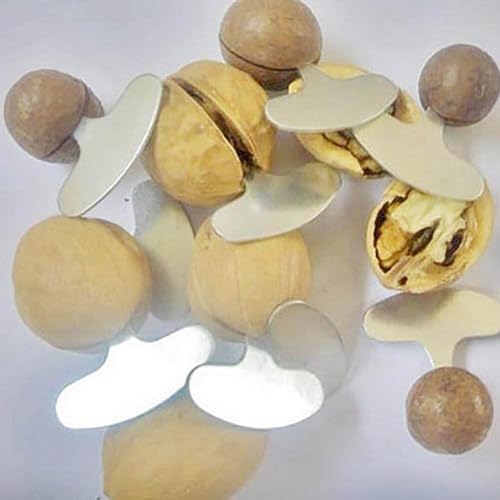 Ouvre-Noix de Macadamia en Acier Inoxydable, craquelins de Noix Portables, ouvre-Coquille de Noix, Accessoires de Cuisine, Outils pour Noix 5 pièces - Nail Gallerys