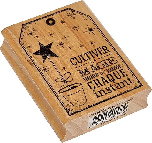 Florilèges Design FE214051 Tampon Scrapbooking Cultiver la Magie Beige 8 x 6 x 2,5 cm - Nail Gallerys