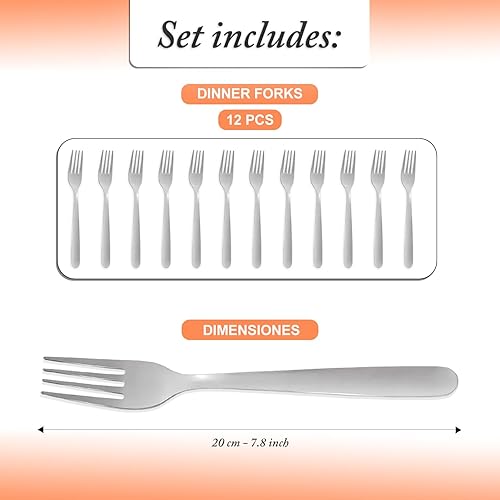 Fourchettes de table inox poli miroir 12 pieces 20 cm fourchette valable pour lave-vaisselle maison restaurants fourchette inox lot fourchette fourchettes de table inox - Nail Gallerys