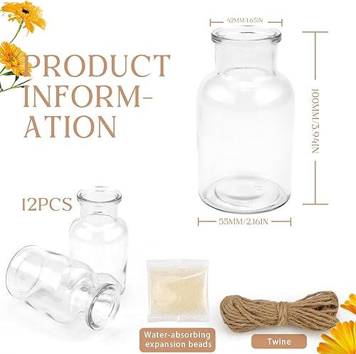 Lot de 12 petits vases en verre pour décoration de table - Nail Gallerys