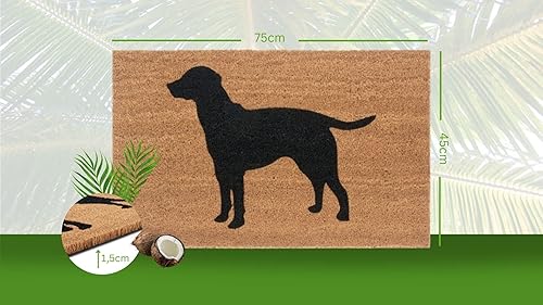 Hanse Home Paillasson en Coco pour l'intérieur - Paillasson Naturel - Paillasson antidérapant - pour Couloir, terrasse, entrée - 45 x 75 cm - Nail Gallerys