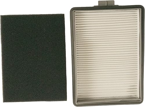 Distri+ - Filtro per polveri sottili compatibile con Miele CX-FSF - Alternativa originale referenze 11639250, CX-FSF - Nail Gallerys