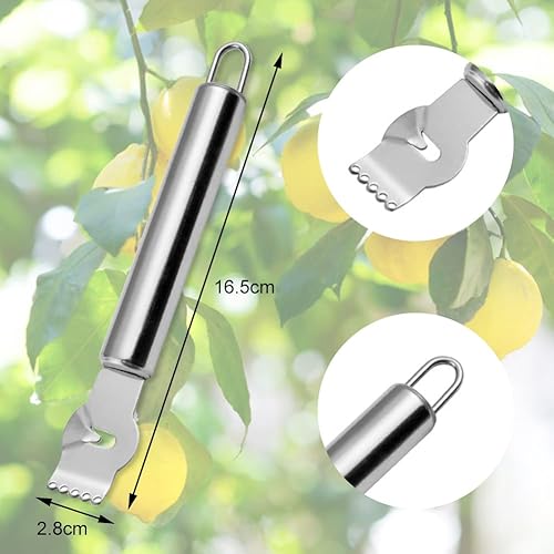Éplucheur à Citron,Citron Peeler,Agrumes Grattoir,Grattoir à Citron en Acier Inoxydable,Éplucheur De Citron en Acier Inoxydable,Épluche-Citron,Éplucheur De Zeste De Citron,Éplucheur à Zeste D'agrumes - Nail Gallerys