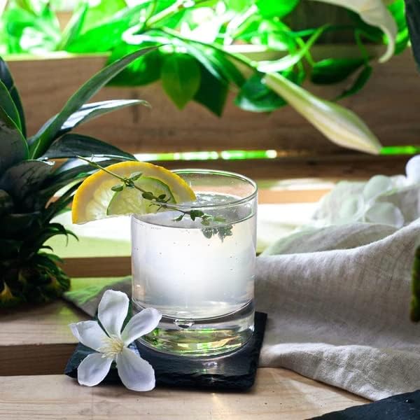 BORMIOLI ROCCO 092622 Barglass Lot de 6 verres à whisky en verre, transparent, 27 cl - Nail Gallerys