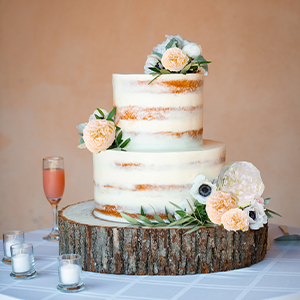 Pivoine artificielle