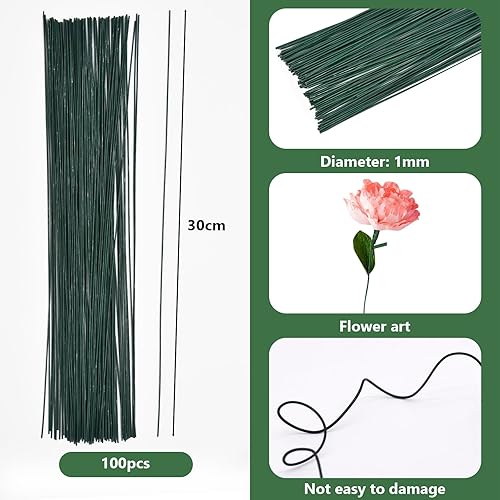 Lot de 100 fils de fer pour fleurs, tronc de fleurs, vert, 30 cm, tige florale, calibre 18, fil de tige florale 1 mm pour arrangements floraux, bouquet de fleurs, bricolage - Nail Gallerys