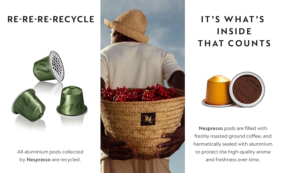 Détails du recyclage