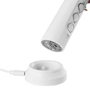 Mousseur à lait portable