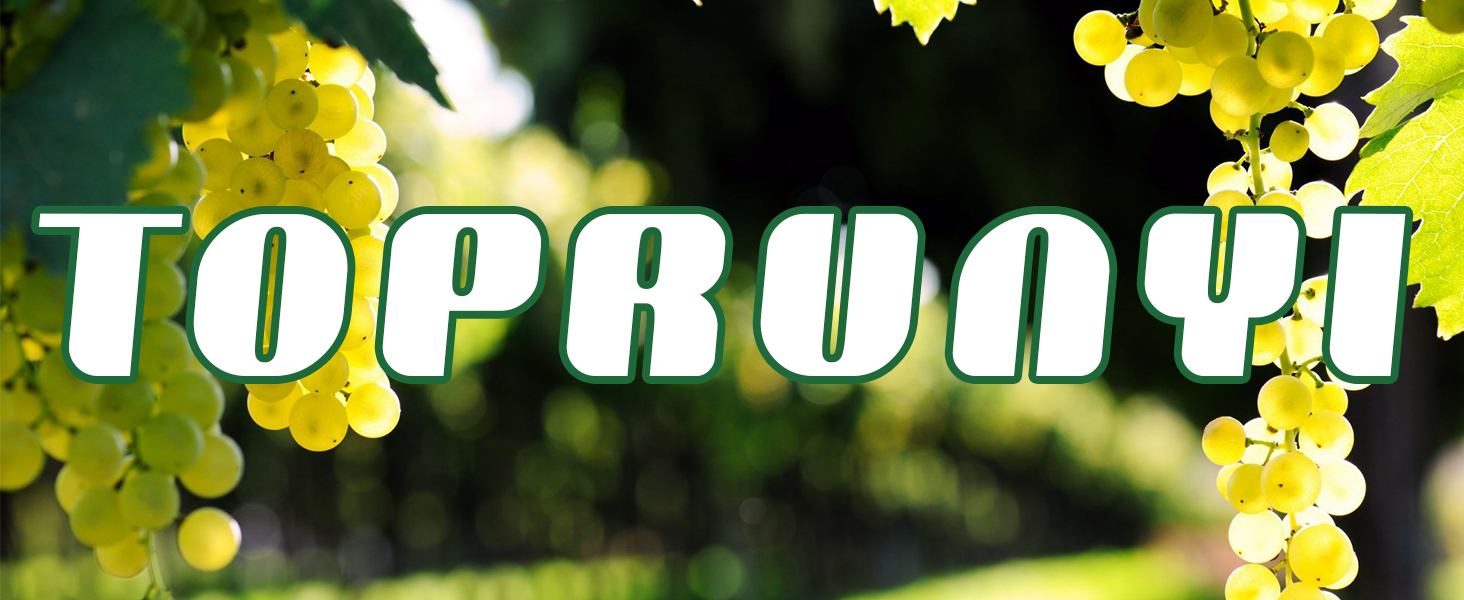 attache plante grimpante