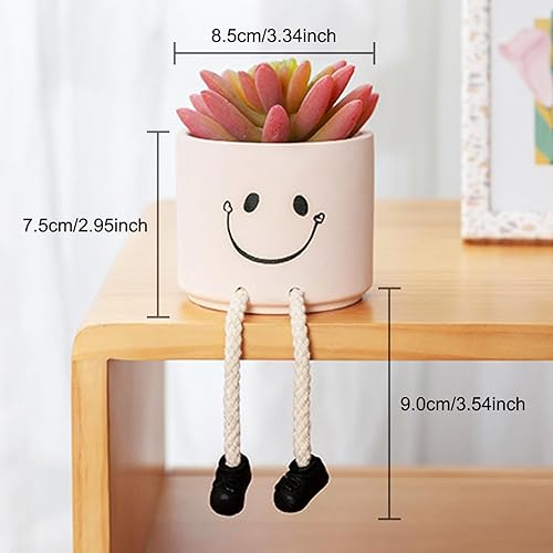 YekouMax Petite Fausse Plante, Fausse Plante Interieur, Végétaux Artificiel Exterieur Aesthetic Decoration pour Chambre Adulte, Maison, Salon, Bureau, Cuisine, Appartement, Plante Grasse - Nail Gallerys