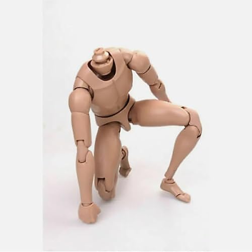 AMITD 1/6 Scale Muscle Male Body 30,5 cm Muscle Mâle Flexible Figurine d'action Poupée Miniature Figurine Sans Tête Sculpte - Nail Gallerys