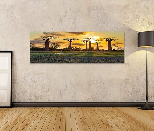 islandburner Tableau Tableaux sur Toile Baobabs au Coucher du Soleil au Baobabs Avenue à Madagascar UBR - Nail Gallerys