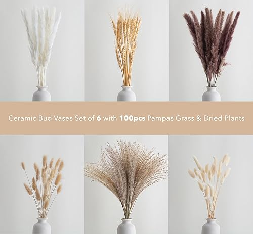 Parlamain Lot de 6 vases en céramique blanche avec 100 herbes de la pampa séchées, petits vases esthétiques bohèmes pour centres de table de mariage, décoration de salon, décoration de table à manger, - Nail Gallerys