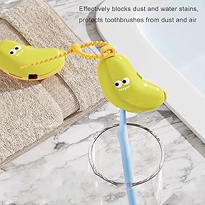 Protè-Brosse À Dents