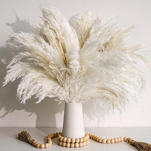 Lot de 20 herbes de la pampa décoratives blanches – Vases esthétiques et fleurs de style maison de campagne vintage pour salon, chambre à coucher et salle de bain - Nail Gallerys