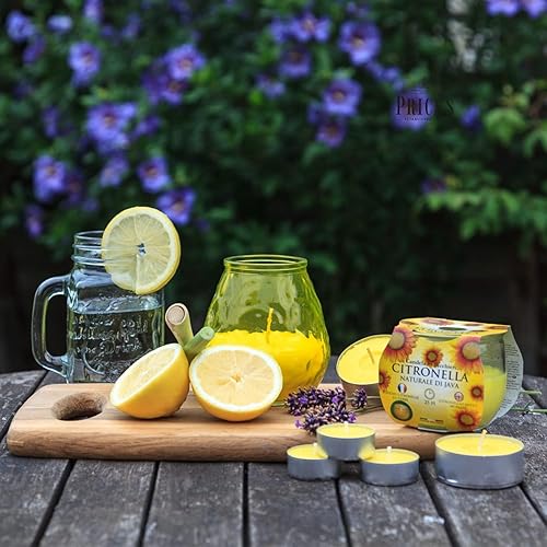 Horeca Candles - Bougies Citronnelle en pot en Terre Cuite - Lot de 6 Bougies Parfumées - Durée 8 Heures - Jaune - Cire anti-moustiques - Pour jardin d'Extérieur, Balcon, Patio, Camping - Nail Gallerys
