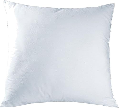 LOLAhome Coussin anti-acariens en fibre creuse siliconée blanche 60 x 60 cm - Nail Gallerys