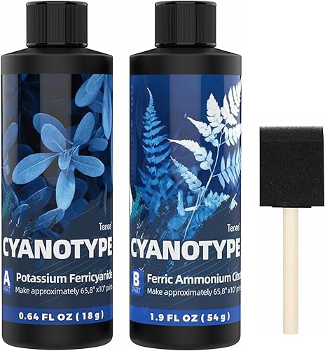 Kit complet de cyanotype, sensibilisateur cyanotype pour impression solaire, kit de produits chimiques cyanotype pour projets de teinture cyanotype sur tissu et papier, kit de sensibilisation - Nail Gallerys
