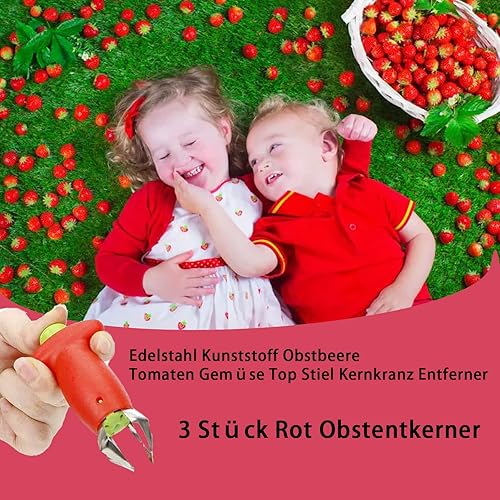 Étrognonneuse pour fruits 3 pièces,Étrognonneuse pour fraises,Outil pour éplucher les fraises,Utilisé Pour Couper Les Feuilles Pour Les Fraises,Ananas,Pommes De Terre(Rouge) - Nail Gallerys