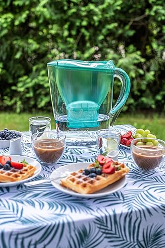 Aqualogis Harmony Carafe filtrante pour réfrigérateur 2,6 l pour réduction des microplastiques, du calcaire, du chlore, du goût et des odeurs, sans BPA, (modèle de filtre de rechange : Pure+) (vert - Nail Gallerys