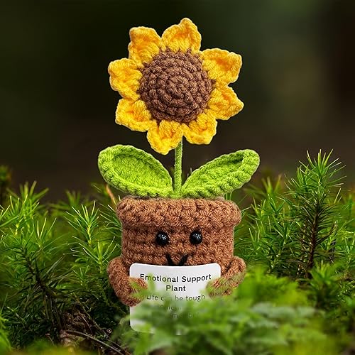 KIAYOO Cadeau Cœur, Décorations de Bureau pour la Maison et Le Bureau, Positive Fleurs au Crochet Cadeau pour Lui Elle Hommes Femmes Amis Petit Ami Anniversaire Noël Saint-Valentin - Nail Gallerys