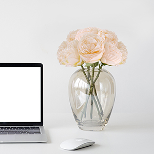 Pivoine artificielle