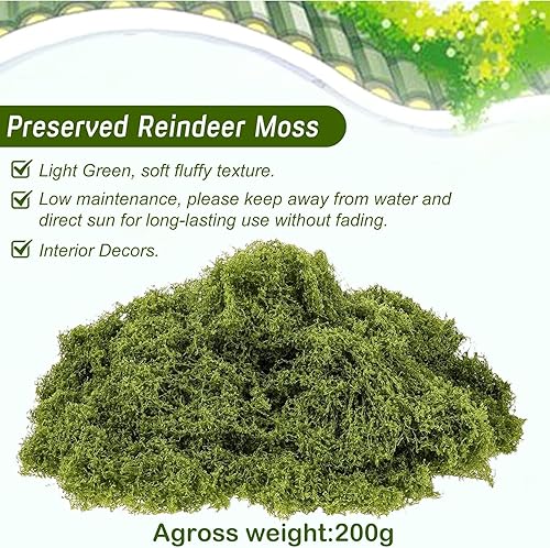 AhLmA 200g Mousse Artificielle pour la Décoration Mousse Artificielle pour la Décoration Mousse Stabilisée Adaptée à la Décoration Murale et au Style D'aquarium (Couleur Claire) - Nail Gallerys