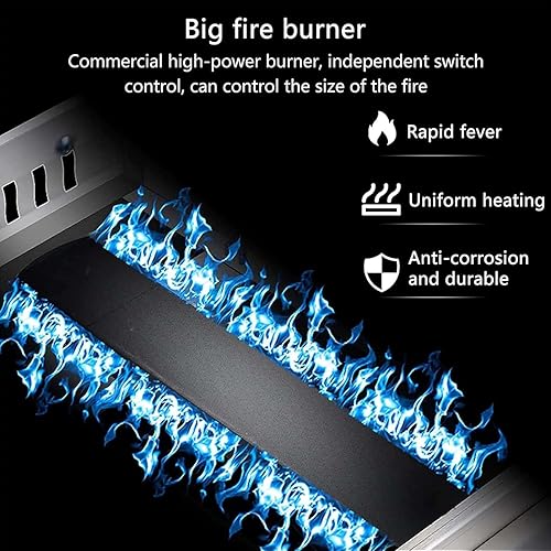 PixCy Friteuse Gaz Professionnelle, Puissance Feu Réglable, Friteuse à Gaz Commerciale en Acier Inoxydable 30L - Nail Gallerys