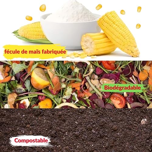 Holi Gul Lot de 10 poudres naturelles solubles dans l'eau pour festival, séance photo Rangoli, couleurs arc-en-ciel, ensemble coloré pour fête prénatale, mariage, camps d'été - Nail Gallerys