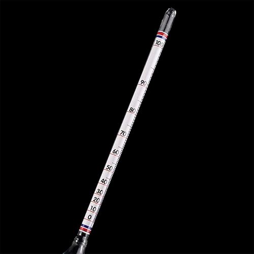 chenpaif Hydromètre Tester Vintage Bouteille De Mesure Ensemble Outils Alcoolmètre Compteur d'alcool Compteur De Concentration De Vin 0-100 Hydromètre Outils d'alcool - Nail Gallerys