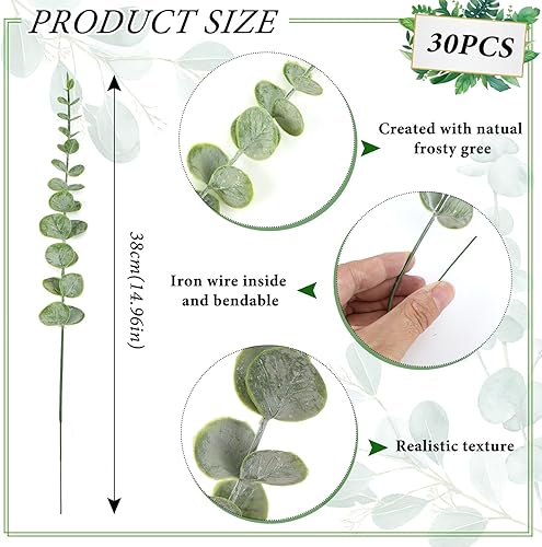 XINFAQAQ 30 Pièces Eucalyptus Artificiel, Branches D'eucalyptus Artificielle, Feuilles d'Eucalyptus Artificielles pour Arrangement de Fleurs, Décoration de Noël, Fête, Mariage, Décoration de Maison - Nail Gallerys