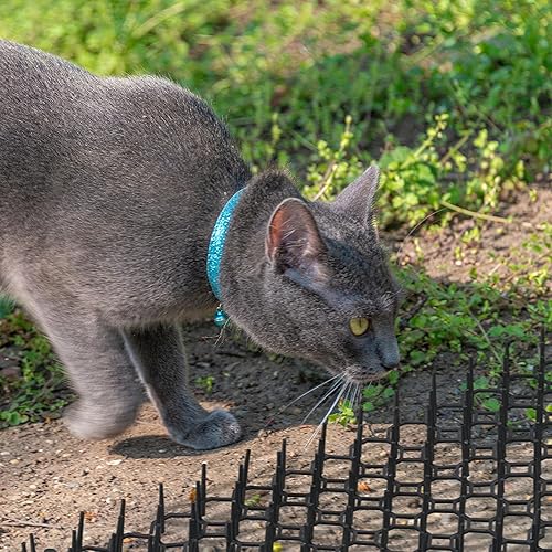 Relaxdays Grille Stop Chats et fouines, lot Pratique de 6, en Plastique, protège Vos trésors Verts, Noire - Nail Gallerys