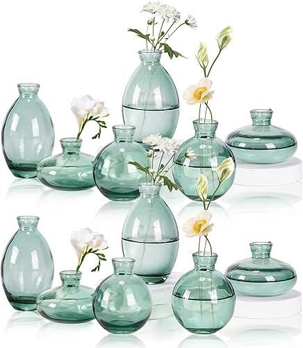 SAWOAKE Lot de 6 petits vases à bourgeons en verre en vrac, mini vases à fleurs pour centres de table, décorations de table, décoration de mariage, réception, maison, (transparent) (3, transparent) - Nail Gallerys