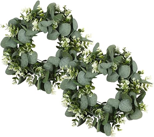 PUDSIRN Lot de 2 couronnes d'eucalyptus artificielles, 27,9 cm, couronnes de Feuilles Vertes artificielles de Ferme, couronnes d'eucalyptus Rondes pour extérieur pour Porte d'entrée, fenêtre - Nail Gallerys